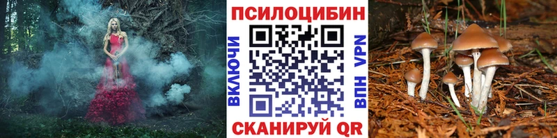 Купить закладки  Колпашево  Галлюциногенные грибы прущие грибы 