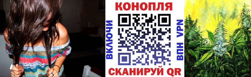 Шишки марихуана марихуана  Купить  Колпашево 
